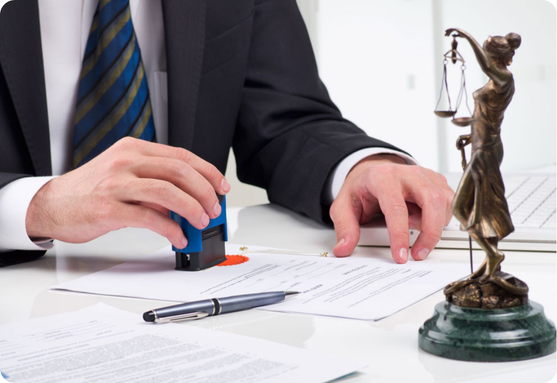 Litigation Services